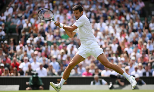  德约科维奇温网卫冕展统治力