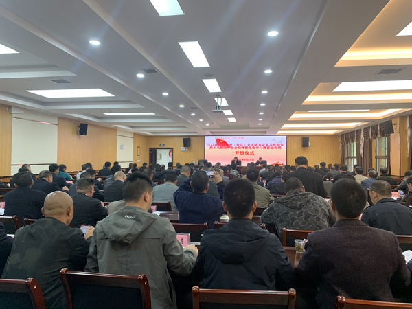  电竞职业联赛改制激发队伍活力